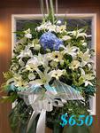 Funeral Flower - A Standard CODE 9324